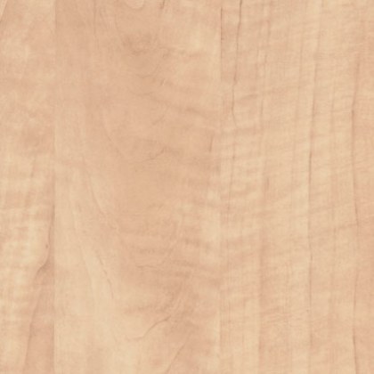 Vadkörte munkalap 5413 VV Vadkörte munkalap 5413 VV