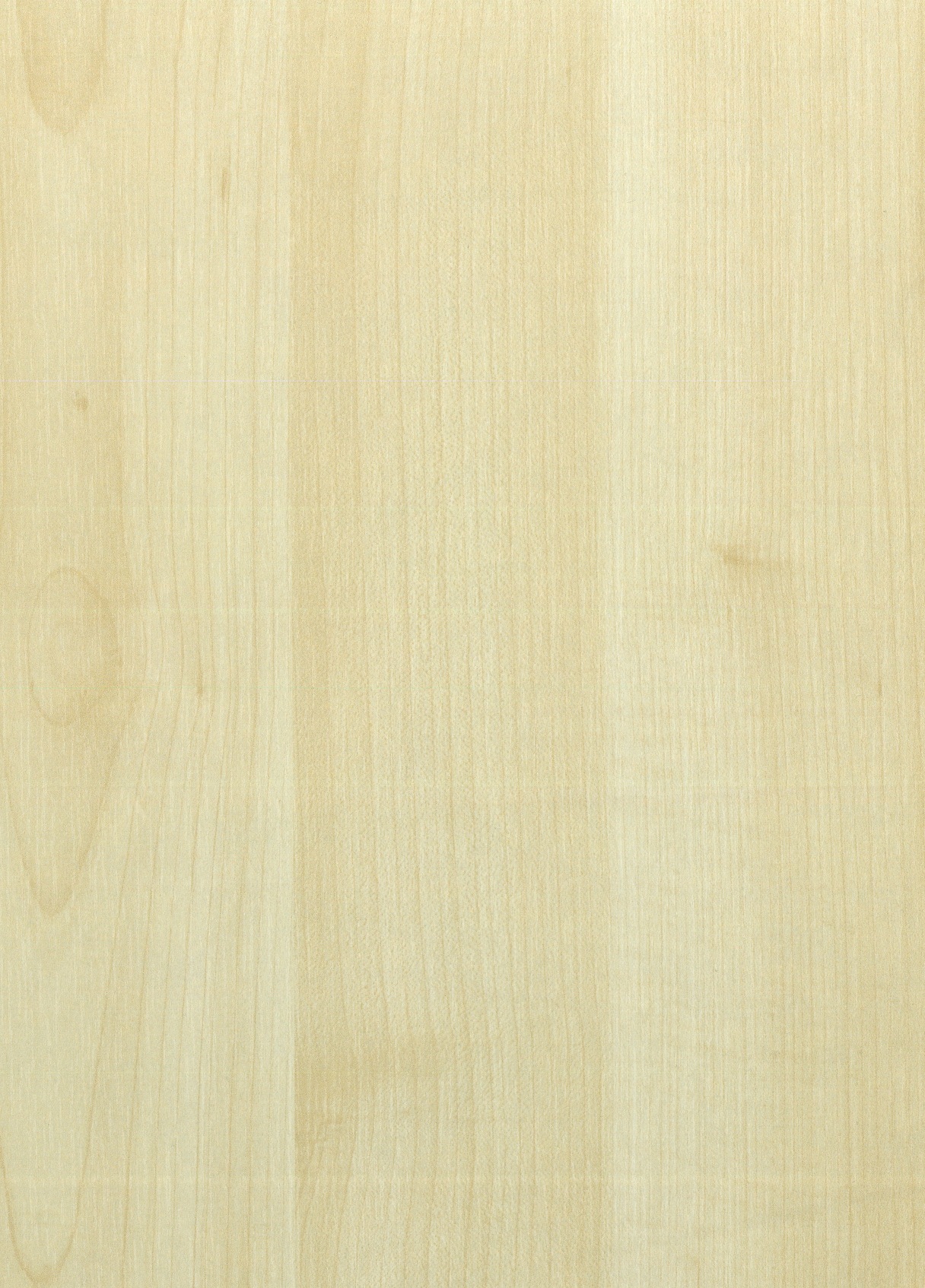 Juhar bútorlap A 319 PS17 táblakép Juhar bútorlap A 319 PS17 táblakép