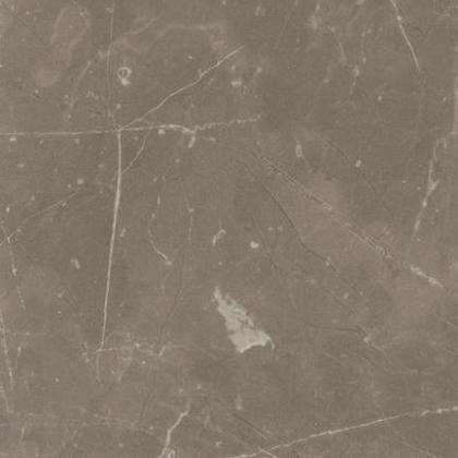 Olympus caffé munkalap F 025 Olympus caffé munkalap F 025