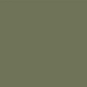 Gyömbér bútorlap D202PS30