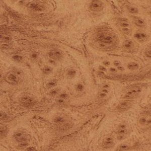 Nyárgyökér magasfényű munkalap A853 PS80