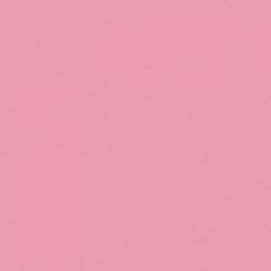 Vadrózsa bútorlap FC 246 FS15